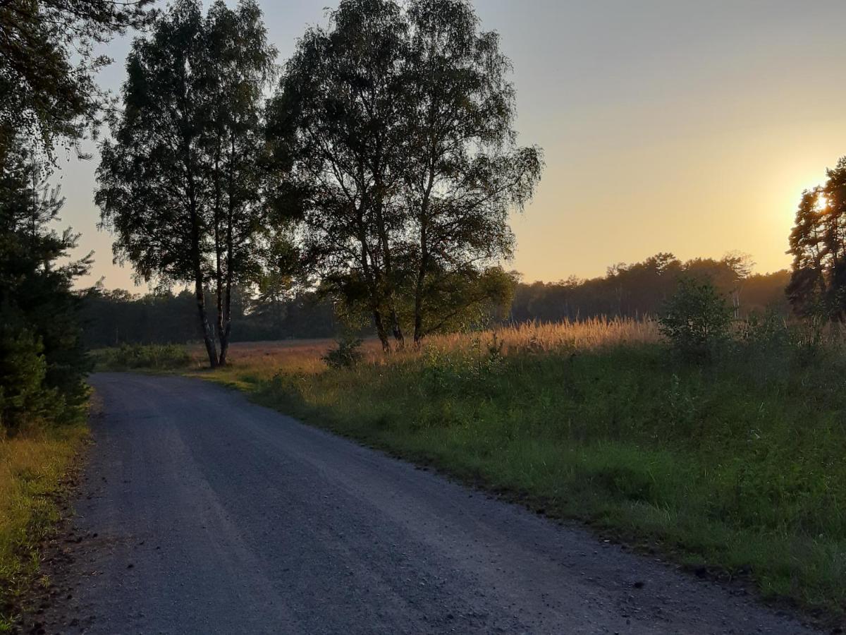 Ferienwohnung Zinne-Wigger Steimbke Esterno foto